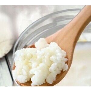 Organic Whole Milk Kefir Live Grains Starter Culture Bulgaros 1 Tbsp